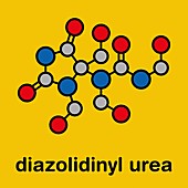 Diazolidinyl urea antimicrobial molecule, illustration