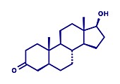 Dihydrotestosterone hormone, illustration