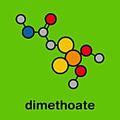 Dimethoate insecticide molecule, illustration