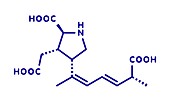Domoic acid algae poison molecule, illustration