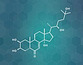 Ecdysone insect moulting prohormone, illustration