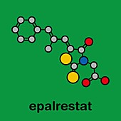 Epalrestat diabetic neuropathy drug molecule, illustration