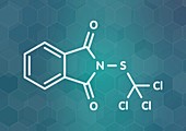 Folpet fungicide molecule, illustration