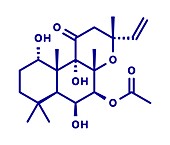 Forskolin molecule, illustration