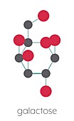 Galactose sugar molecule, illustration