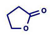 Gamma-butyrolactone solvent molecule, illustration