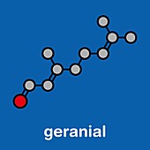 Geranial lemon fragrance molecule, illustration