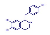 Higenamine herbal molecule, illustration