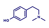 Hordenine stimulant molecule, illustration