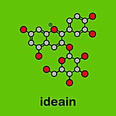 Ideain plant pigment molecule, illustration