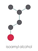 Isoamyl alcohol molecule, illustration