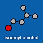 Isoamyl alcohol molecule, illustration
