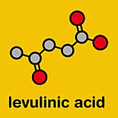 Levulinic acid molecule, illustration