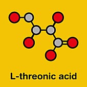 L-Threonic acid molecule, illustration