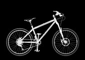 Mountain bike, X-ray