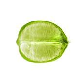 Lime, X-ray