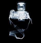 SLR camera, X-ray