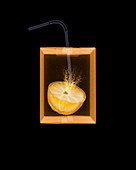 Lemon and straw in carton, X-ray