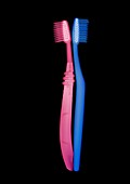 Pink and blue toothbrushes, X-ray