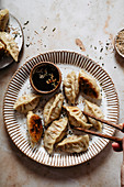 Dumplings (Teigtäschchen, Asien) mit Sojasauce auf Teller