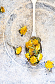 Dried dandelion flowers on a spoon