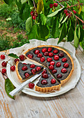 Poppy seed cake with cherries