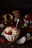 Raspberry ripple ice cream with fresh raspberries