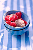 Chocolate sorbet with raspberries
