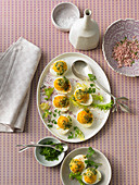 Stuffed eggs with fresh herbs