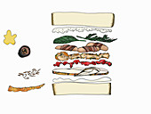 Geschichtetes Sandwich (Illustration)