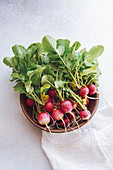 Small radish in bowl