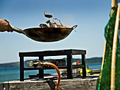 Food being tossed in a wok over a gas cooker on a beach