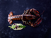 A whole lobster on a dark surface