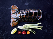 A lobster tail on a dark surface