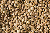 Raw coffee beans