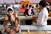 Biscuit production line, Afghanistan