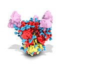 HIV envelope protein, molecular model