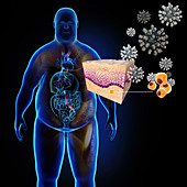 Obesity and Covid-19, illustration