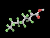 Perfluorooctanoic acid molecule