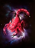 Scorpio zodiac sign, illustration