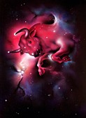 Taurus zodiac sign, illustration