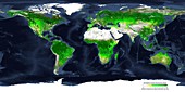 Global atmospheric carbon removal by plants, autumn 2000