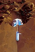 Martian subsurface probe, illustration