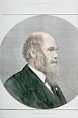 Charles Darwin, British naturalist