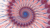 Psychedelic spiral, illustration