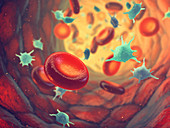 Red blood cells and platelets, illustration