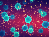 Pathogenic viruses and antibodies, illustration