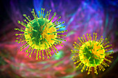 Coronavirus particles, illustration