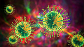 Coronavirus particles, illustration