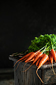 Fresh harvest of carrots